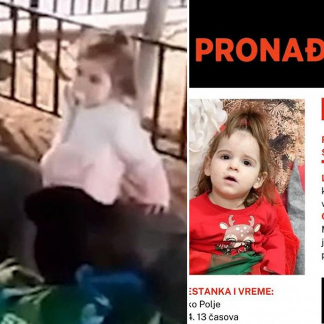 Djevojčica iz Austrije i Danka Ilić