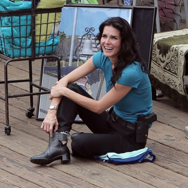 Angie Harmon