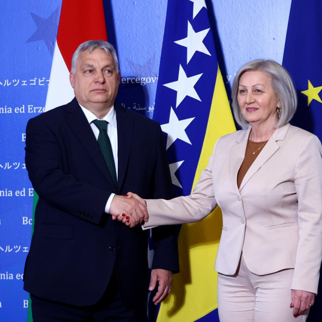 Viktor Orban sastao se s Borjanom Krišto