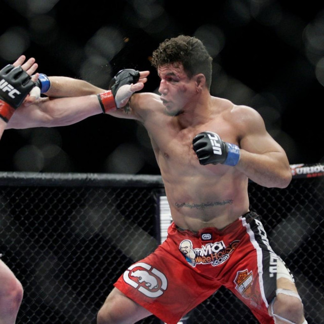 Brock Lesnar (lijevo) i Frank Mir (desno)