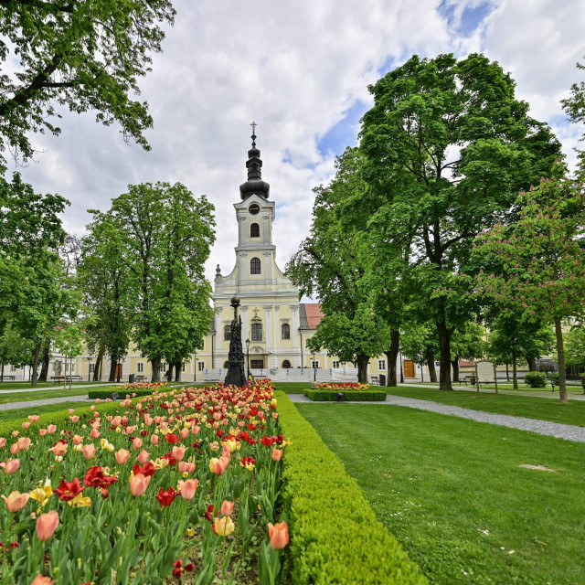 Bjelovar