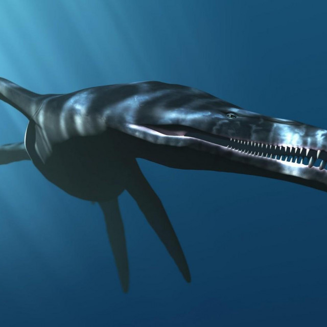 Smatra se da je ovako izgledao pilosaurus