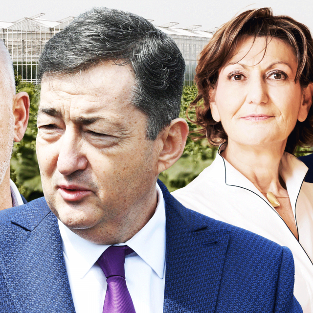 Marko Pipunić, Lőrinc Mészáros, Martina Dalić, Martin Ervačić