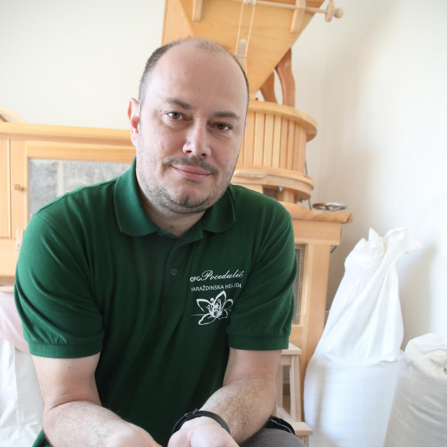 Dario Pocedulić