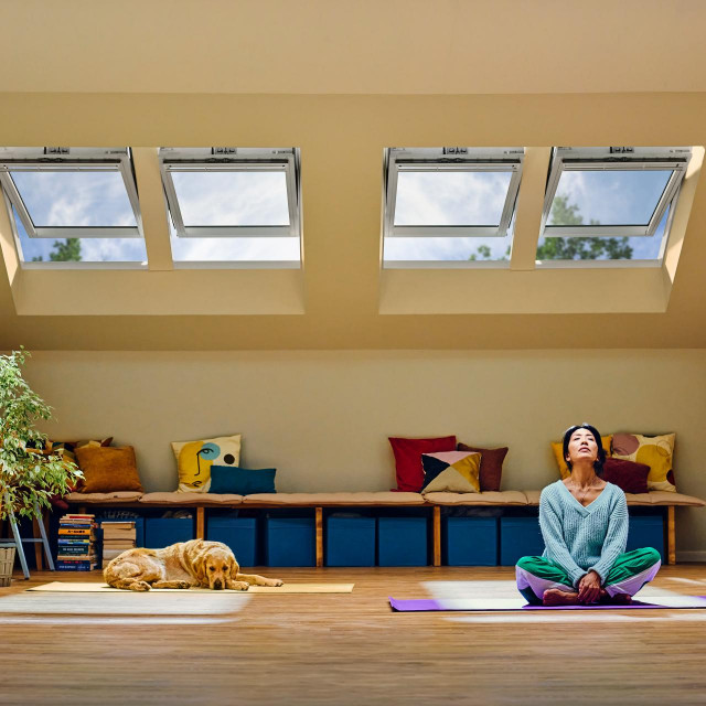 VELUX promo