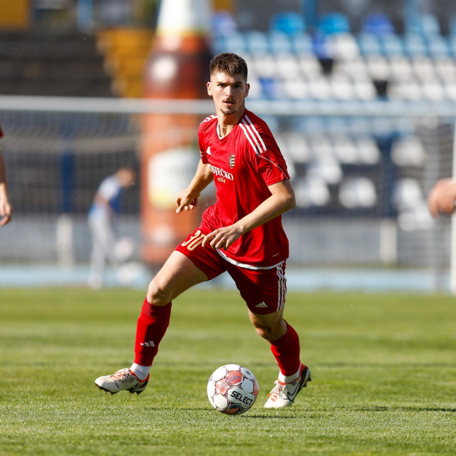 Dominik Dogan