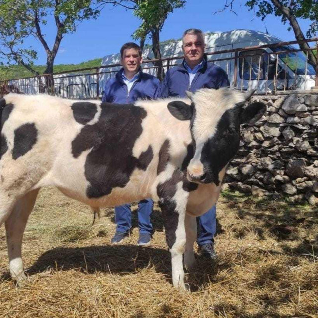 Potpredsjednik HDZ-a Oleg Butković i politički savjetnik Mate Radeljić