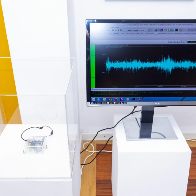 Seizmogarf/Ilustracija