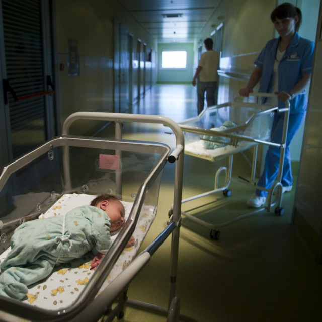 Primalja, ilustracija
 