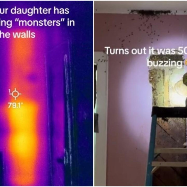 TikTok o ”čudovištu” u zidu koji je postao viralan