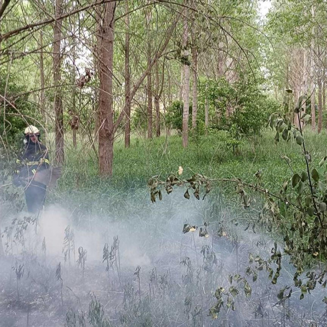 Požar u šumi između Valpova i Narda