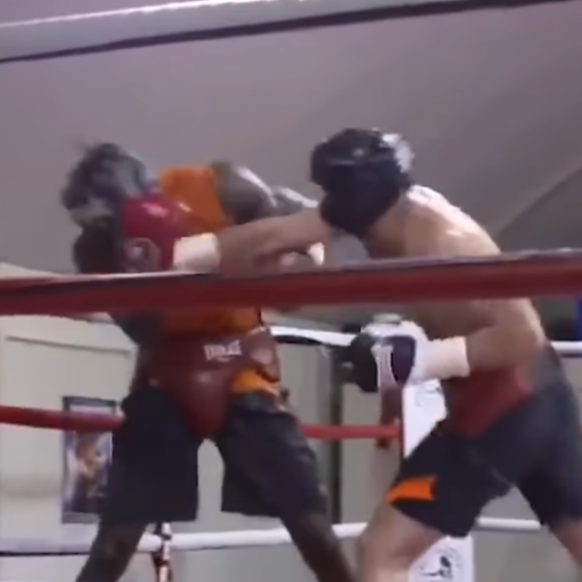 Deontay Wilder (lijevo) i Filip Hrgović (desno)
