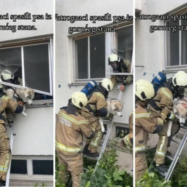 Vatrogasci spašavaju psa