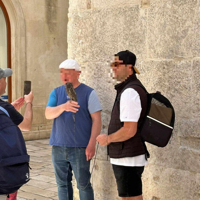 Muškarac je nudio fotografiranje s pticom u zamjenu za novac