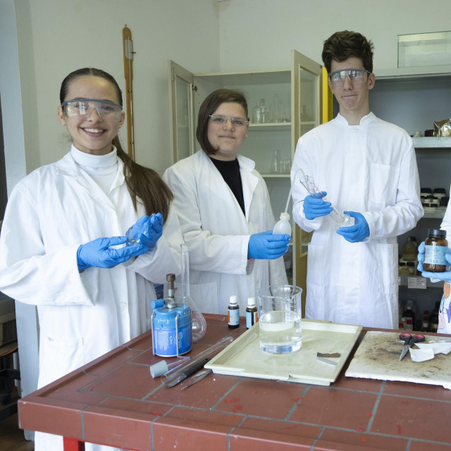 Ema Balic, Ronald Podgorski, Jeronim Dubravica, Andreja Kupina Ramljak