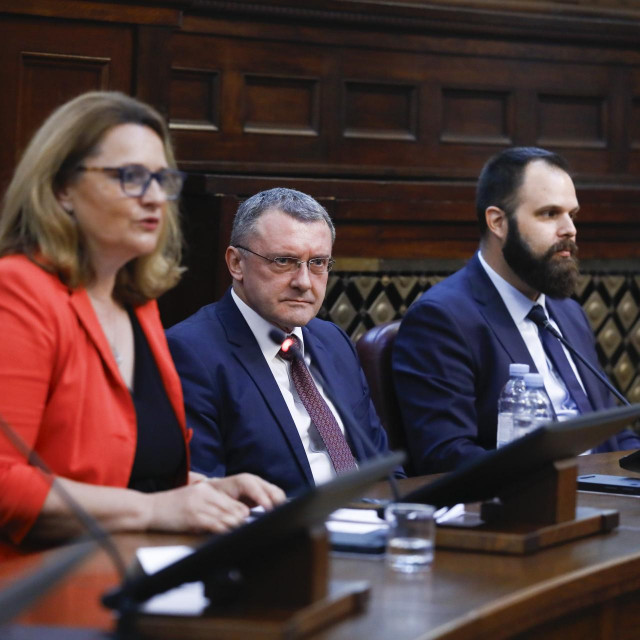 Tajana Kesić Šapić, Aleksandar Klaić, Marko Gulan