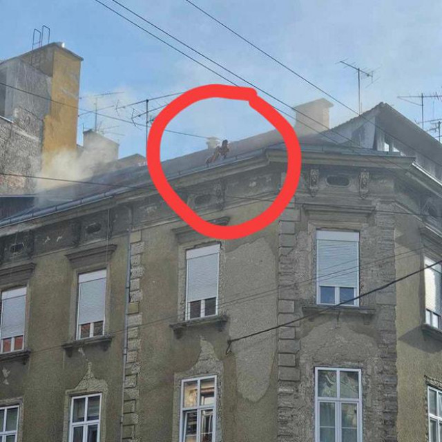 Požar u Palmotićevoj