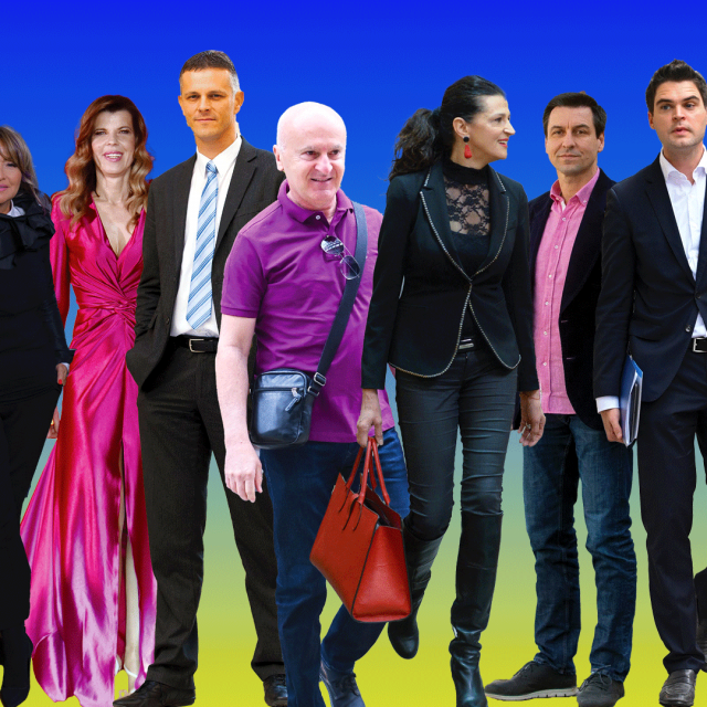 Zastupnici u Europskom parlamentu u mandatu od 2019. do 2024. godine: Tonino Picula, Mislav Kolakušić, Sunčana Glavak, Biljana Borzan, Valter Flego, Predrag Fred Matić, Romana Jerković, Ladislav Ilčić, Karlo Ressler, Ivan Vilibor Sinčić, Tomislav Sokol i Željana Zovko