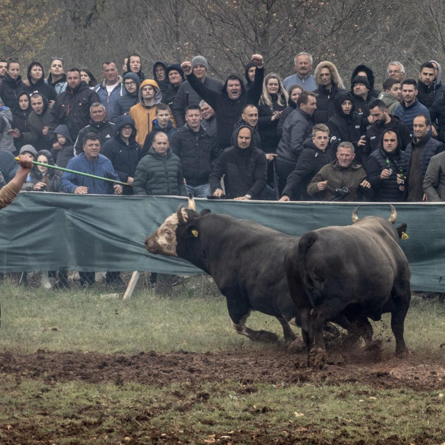 Bikijada, ilustracija

 