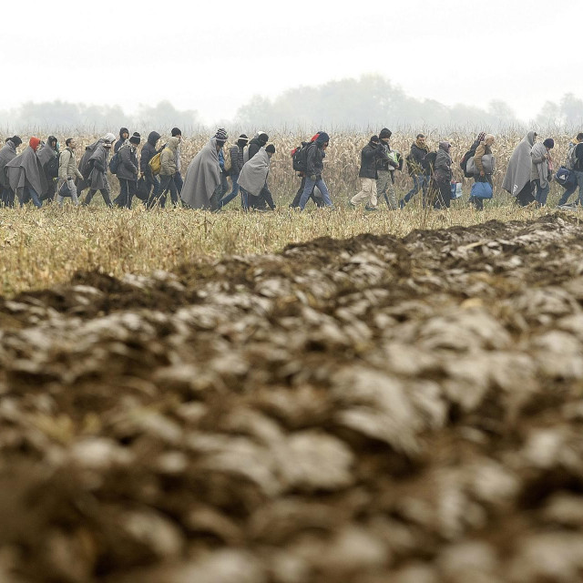 Ilustracija, migranti