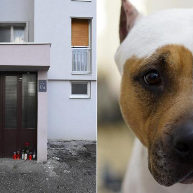 Napad psa na zadarskom Bulevaru