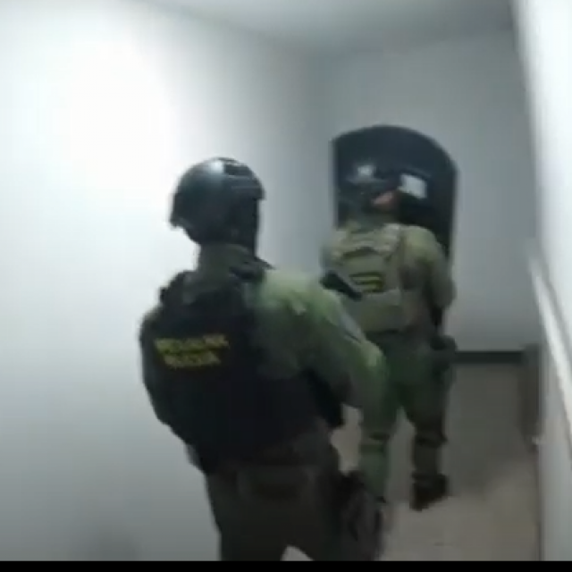 Akcija policije (ilustracija)