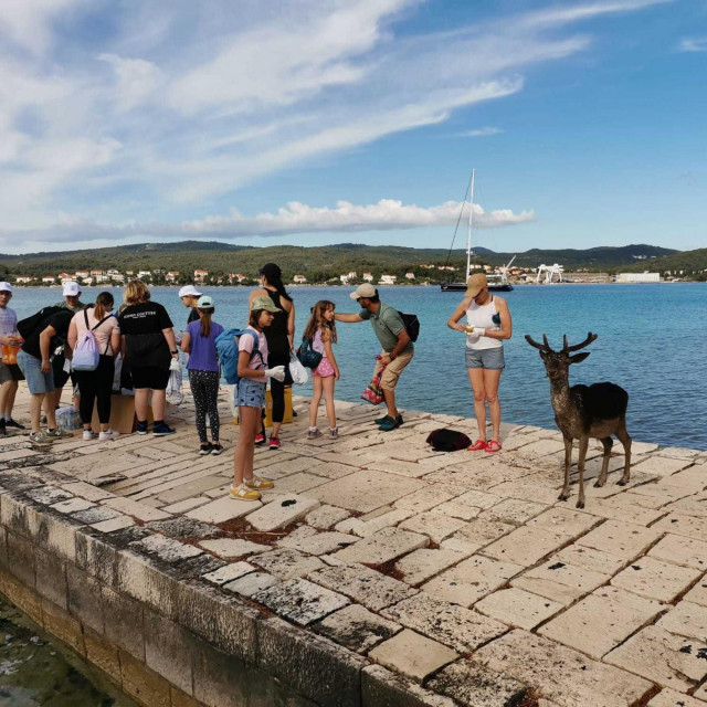 Od izvora do mora - Korčula