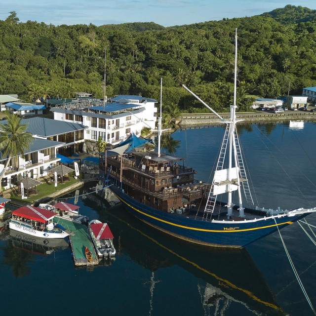 Od jeseni prošle godine Komisija za očuvanje riba i divljih životinja Floride (FWC) prikupila je stotine izvješća o pilanima. Nitko nije sposoban objasniti što se događa u vodama Floride