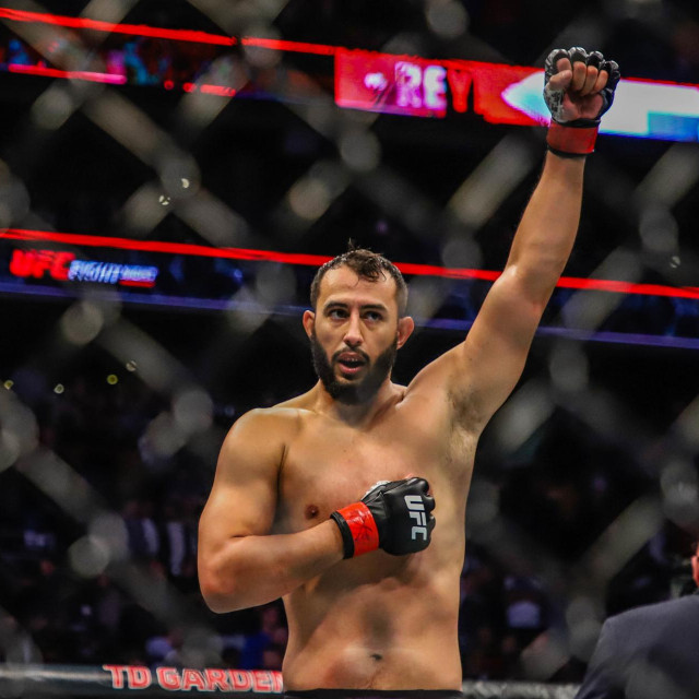 Dominick Reyes