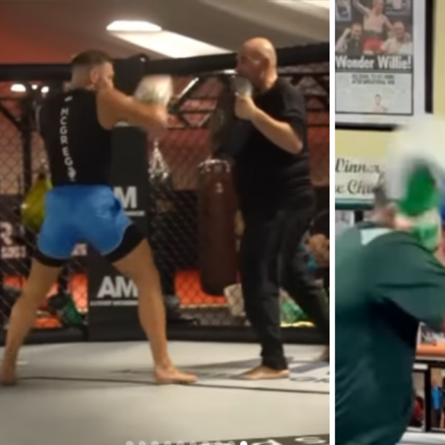 Conor McGregor na treninzima