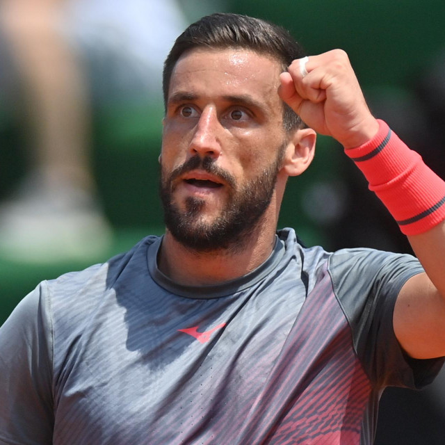 Damir Džumhur