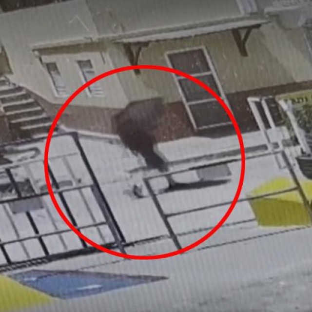 Snimka nadzorne kamere