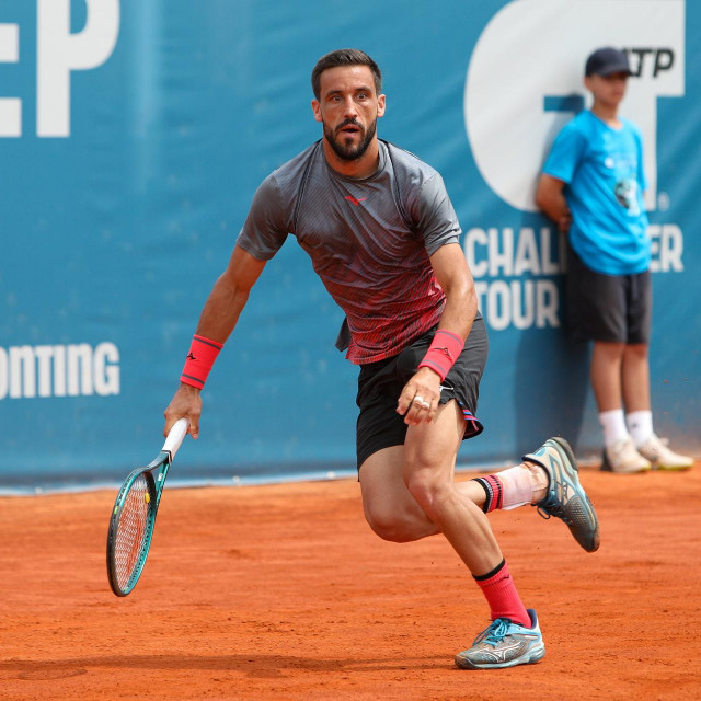 Damir Džumhur
 