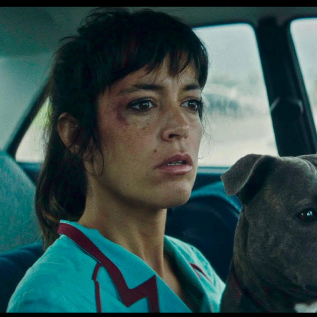 Vincent mora umrijeti