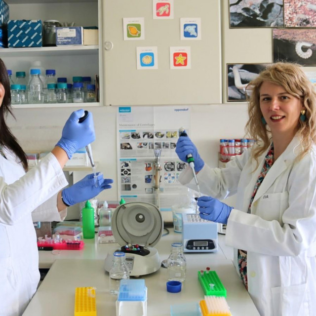 Monika Tunjić Cvitanić i  Eva Šatović Vukšić