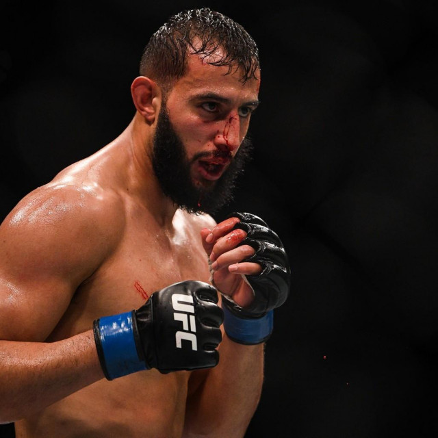 Dominick Reyes