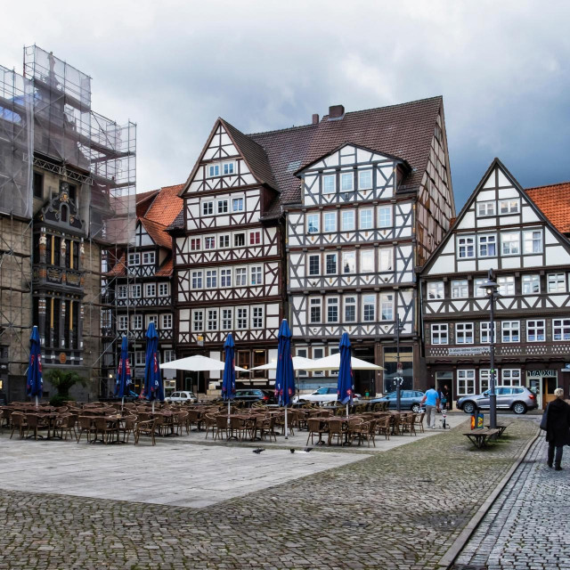 Mnogi njemački gradovi imaju iste inicijative da se na brutalan način obračunaju s brojnošću golubova