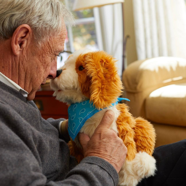 Roboti ljubimci iznimno su popularni među starijom populacijom