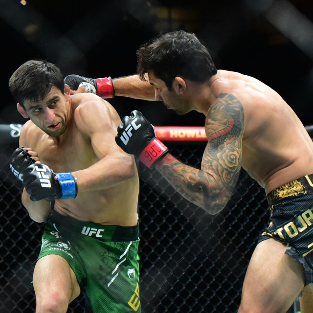 Pantoja vs Erceg UFC 301