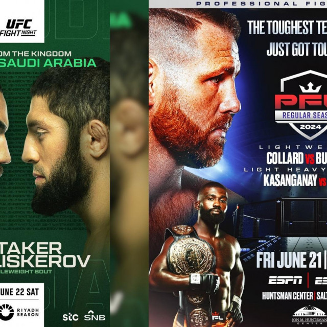 UFC on ABC 6/PFL 5 2024