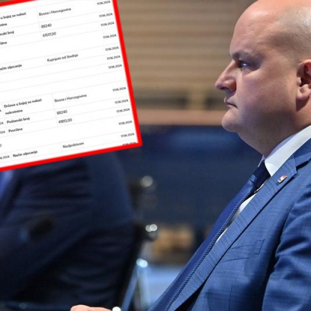 Ministar gospodarstva Ante Šušnjar, imovinska kartica