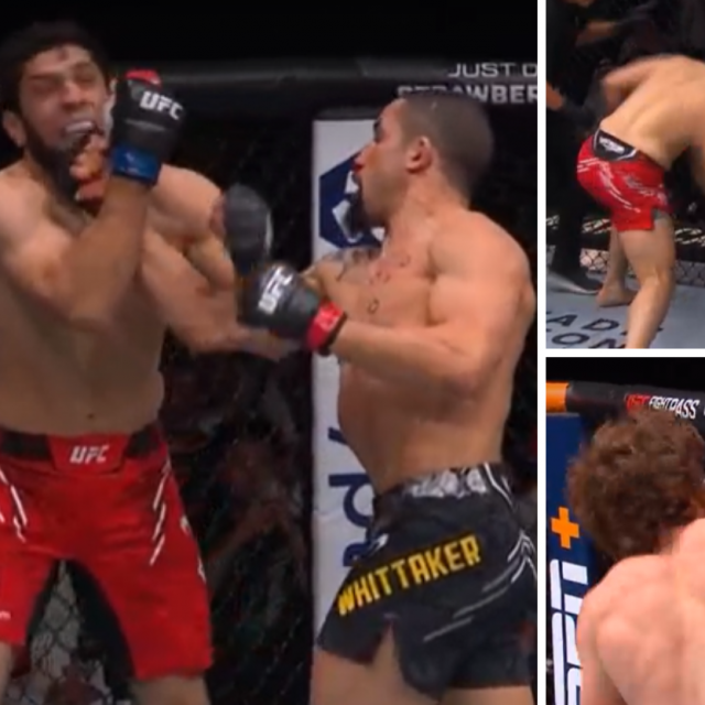 Whittaker vs. Aliskerov (lijevo) | Oezdemir vs. Walker (gore desno) | Magomedov vs. Trocoli (dolje desno)