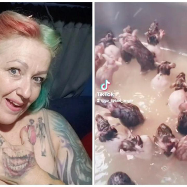 Michelle Raybon i njeni ljubimci štakori