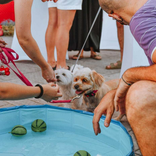 Pet Centar Dujmovača i Zaklada za zaštitu životinja Bestie organizirali su veselo ljetno druženje u Splitu