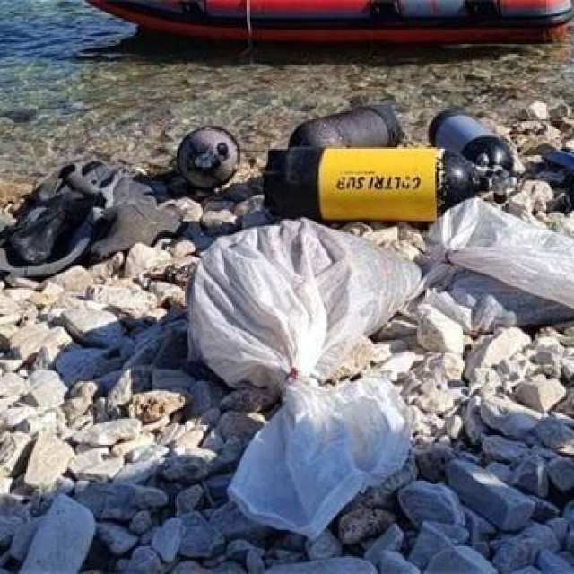 Nezakonit ulov morskih trpova