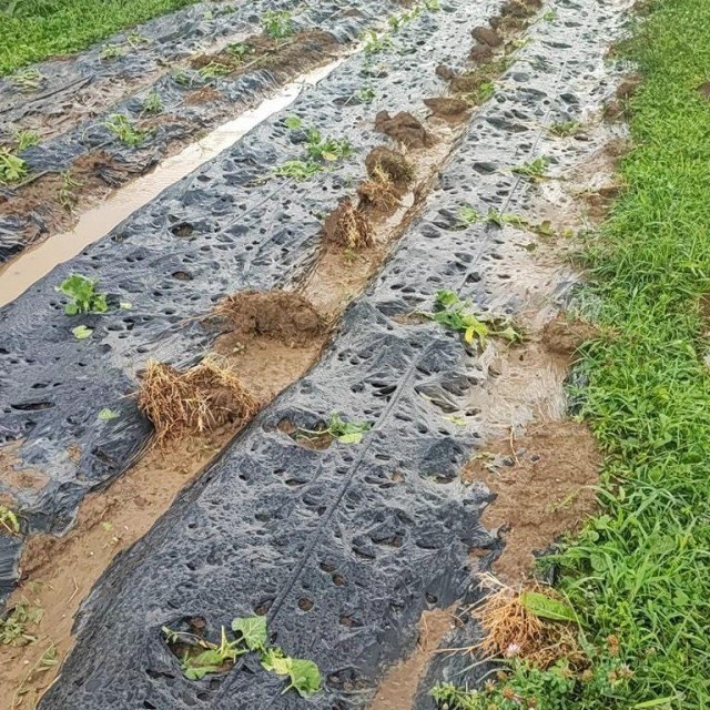 Šteta na OPG Novak je velika