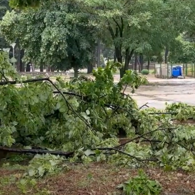 Posljedice nevremena u Trebinju