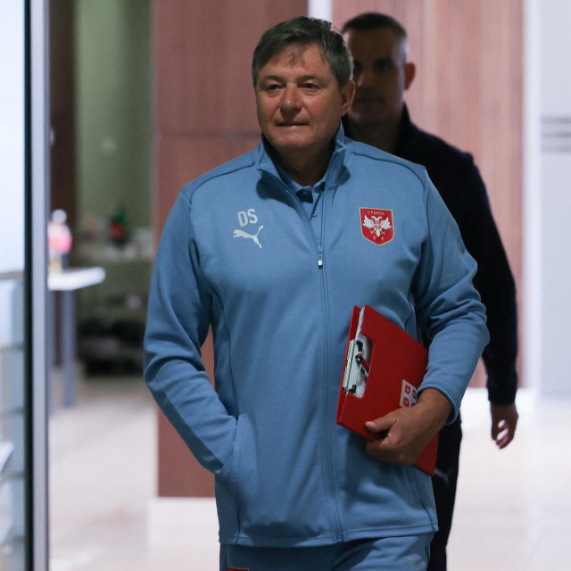 Dragan Stojković, izbornik Srbije