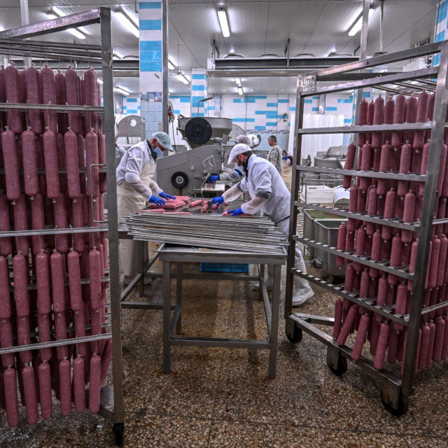 Trenutno se u prehrambenoj industriji koristi mikrobna transglutaminaza koja je klasificirana kao enzim