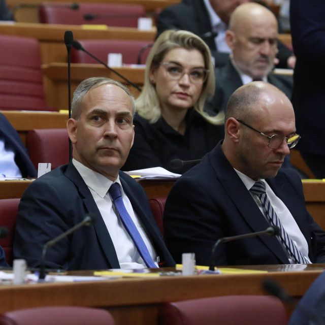 Stephen Nikola Bartulica, Davor Ivo Stier